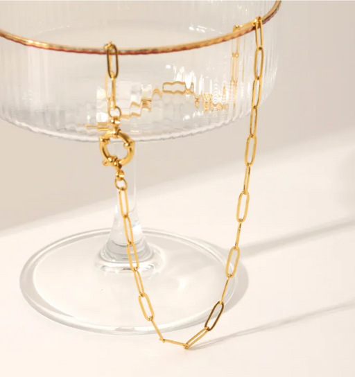 CARABINER PAPER CLIP NECKLACE 💧