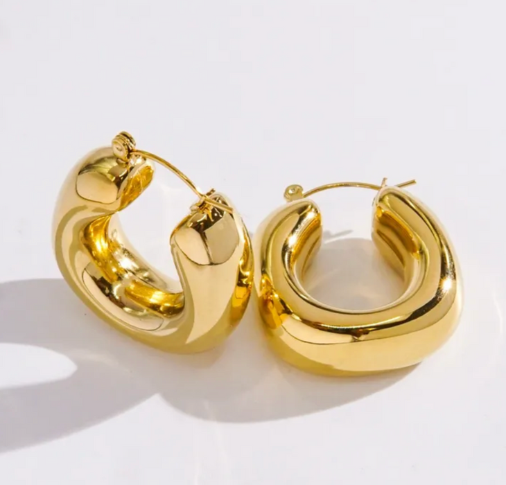CHUNKY DANA EARRINGS 💧