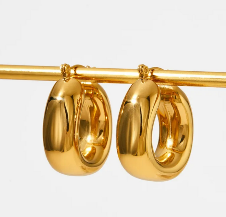 CHUNKY DANA EARRINGS 💧