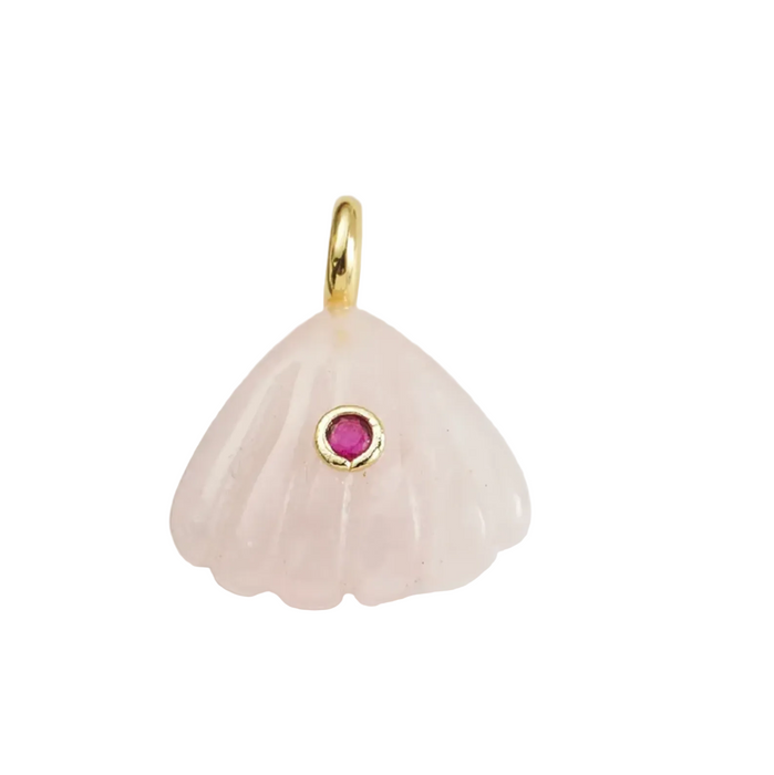 SHELL NATURAL CHARM