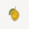 MEMORY LOCKET CHARMS