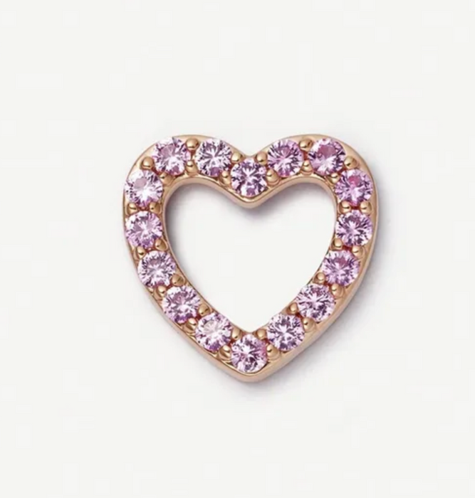 MEMORY LOCKET CHARMS