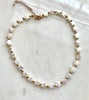 SHELL STAR CHOKER