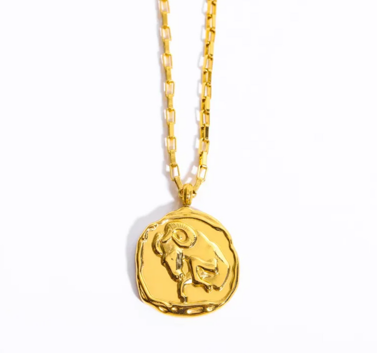 ZODIAC COIN NECKLACE 💧