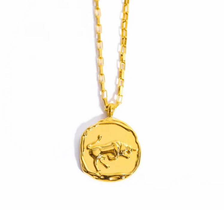 ZODIAC COIN NECKLACE 💧